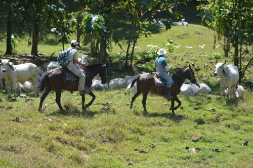 DSC 0078 (2)